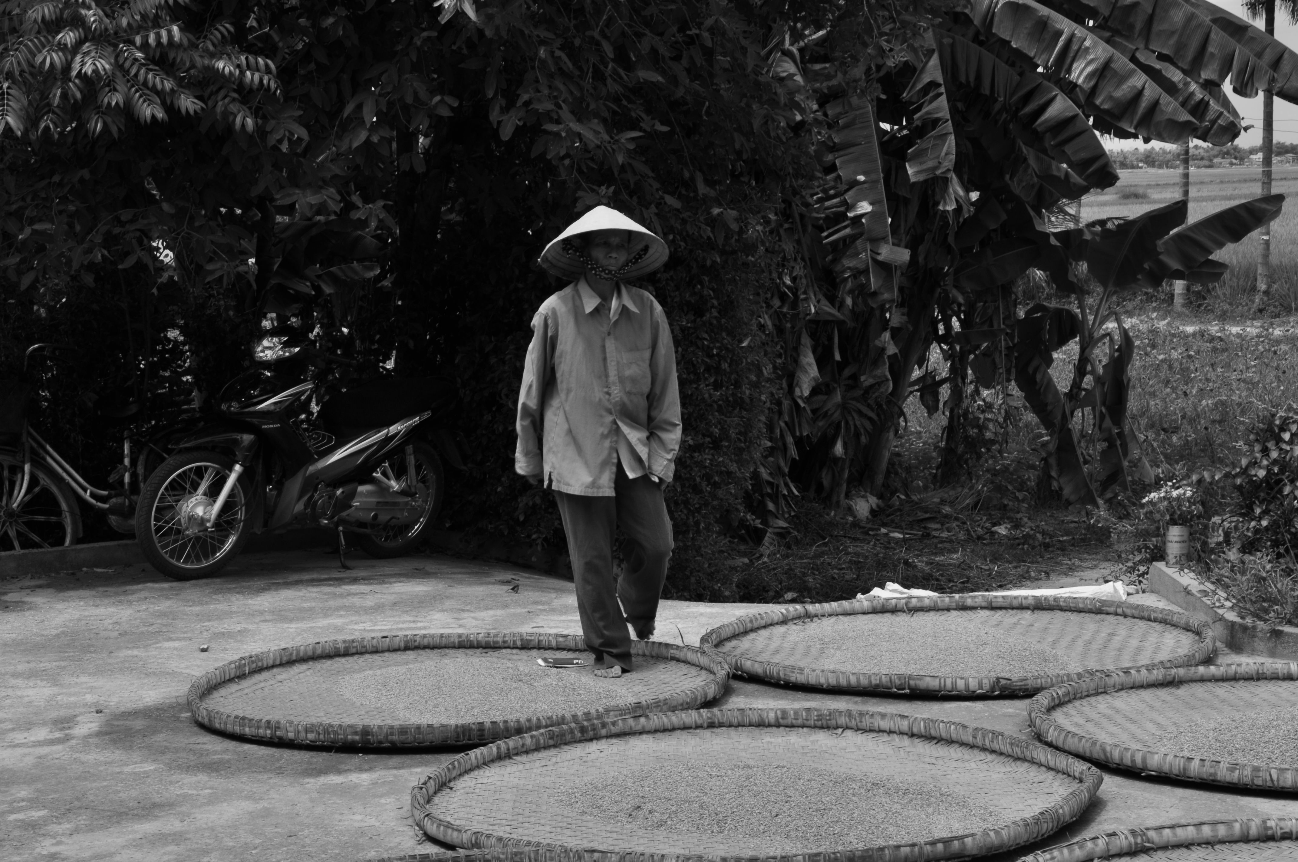 Traditional Farmer in Rural Vietnamese Setting · Free Stock Photo