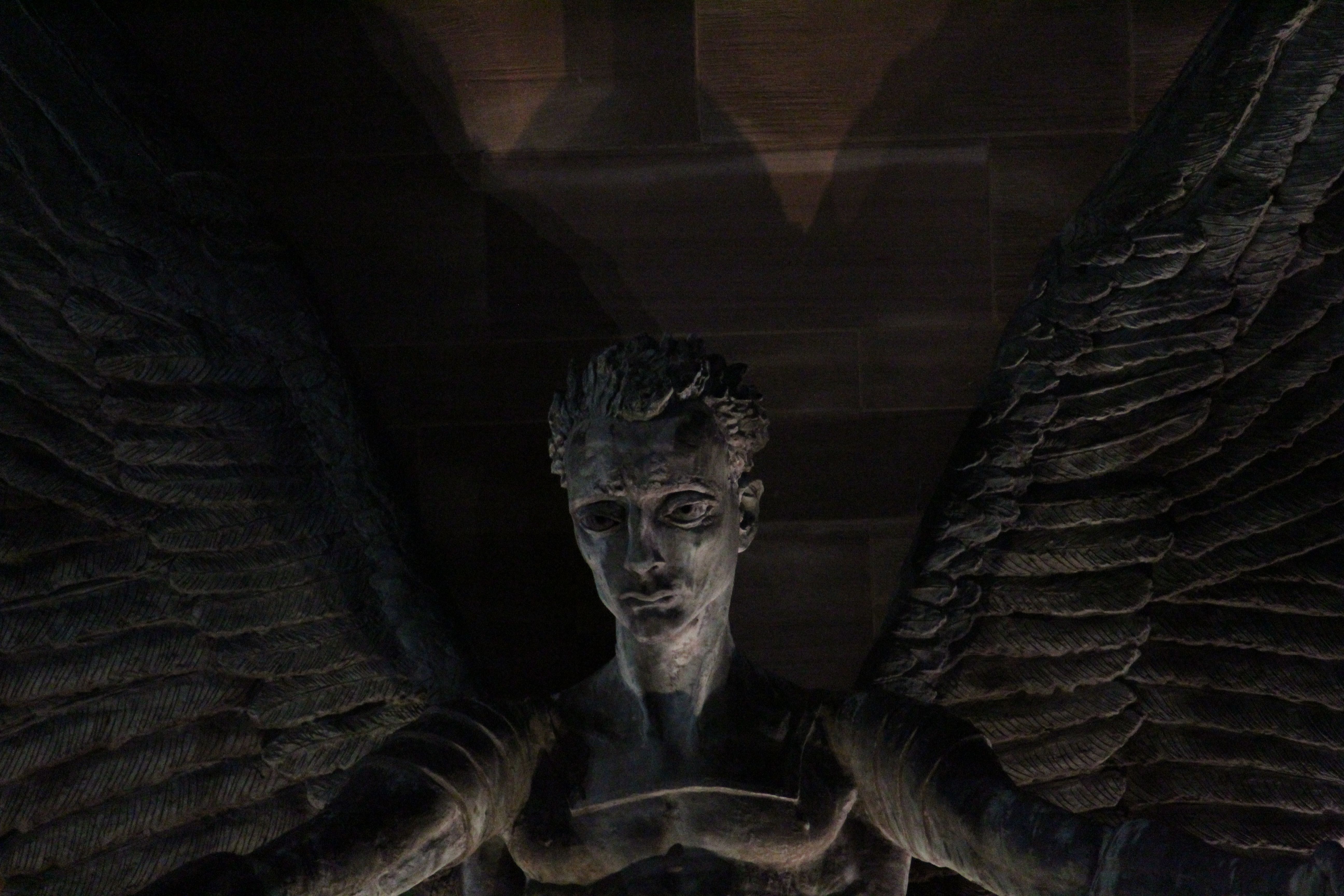 tim curry
