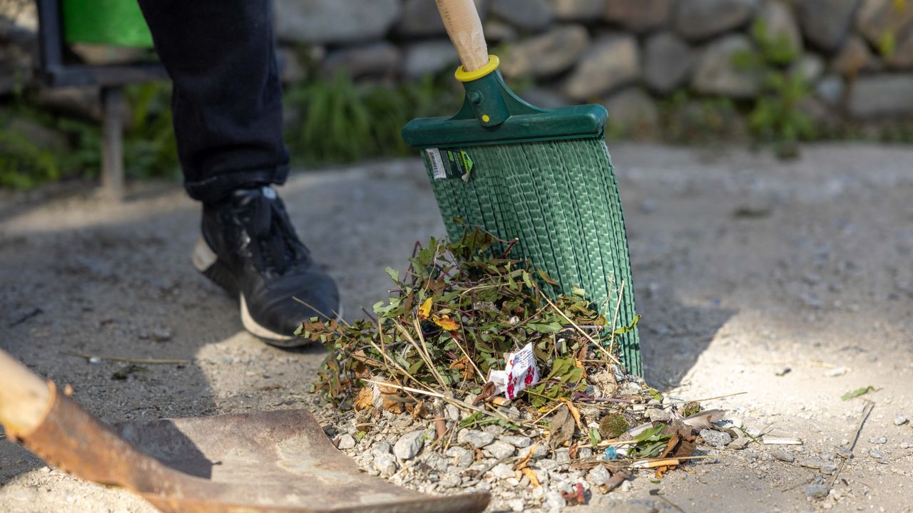 Yard Cleanups — Tree Services & Landscaping, Holland MI