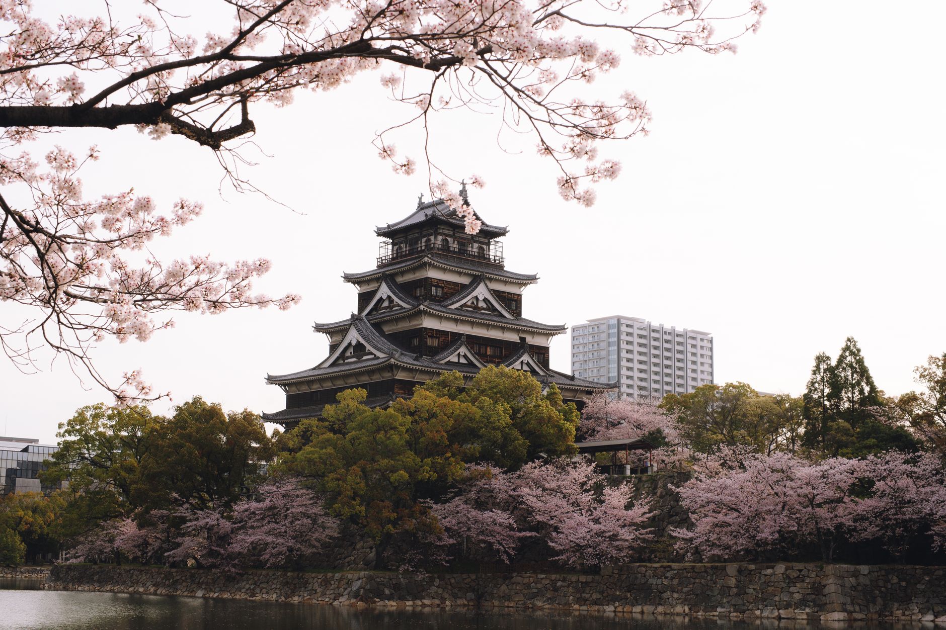 Best Time to Visit Japan in 2025-2026: Your Ultimate Guide