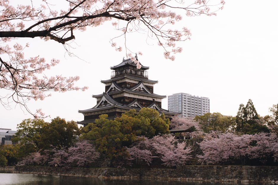 Journey Back to the Late Sengoku Period: Unveiling Nagomi Town's Battle of Tanaka Castle