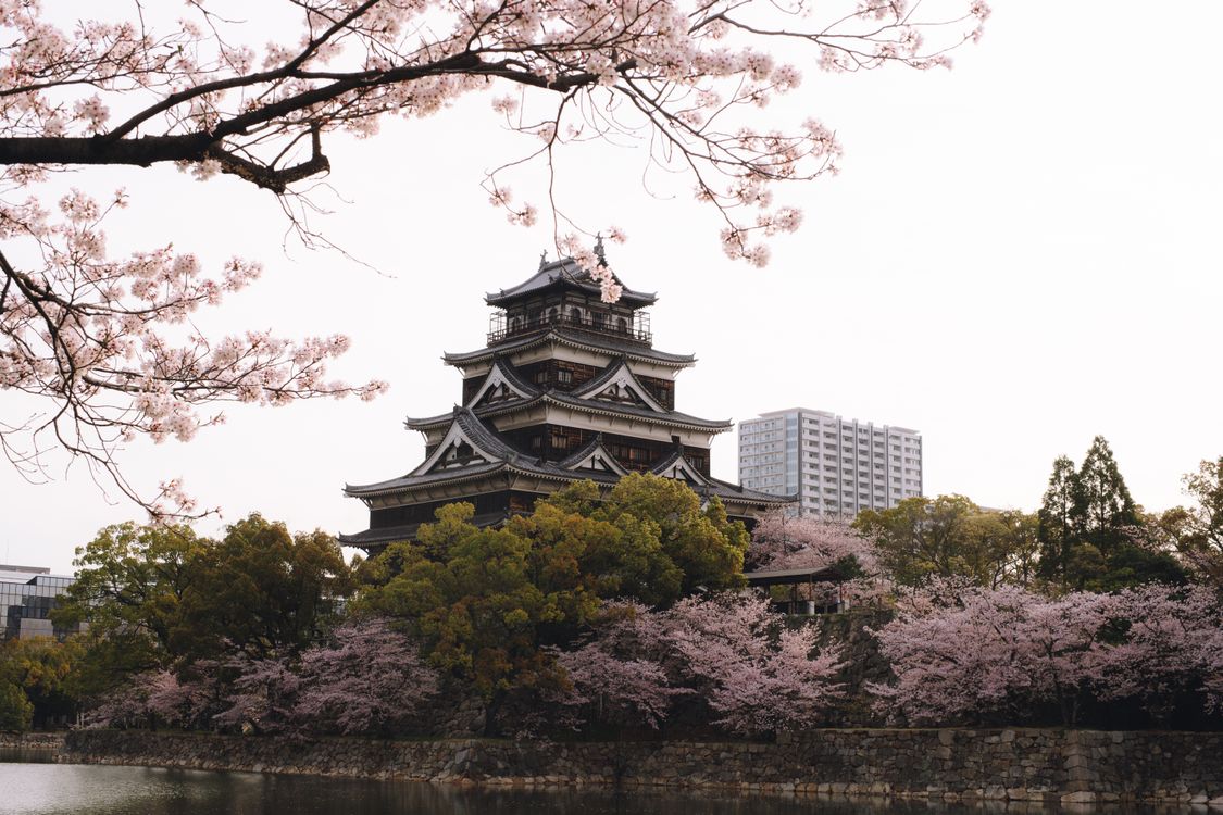 Japan Castles Spring Hiroshima Castle Amidst Sakura Blossoms in Spring · Free Stock Photo