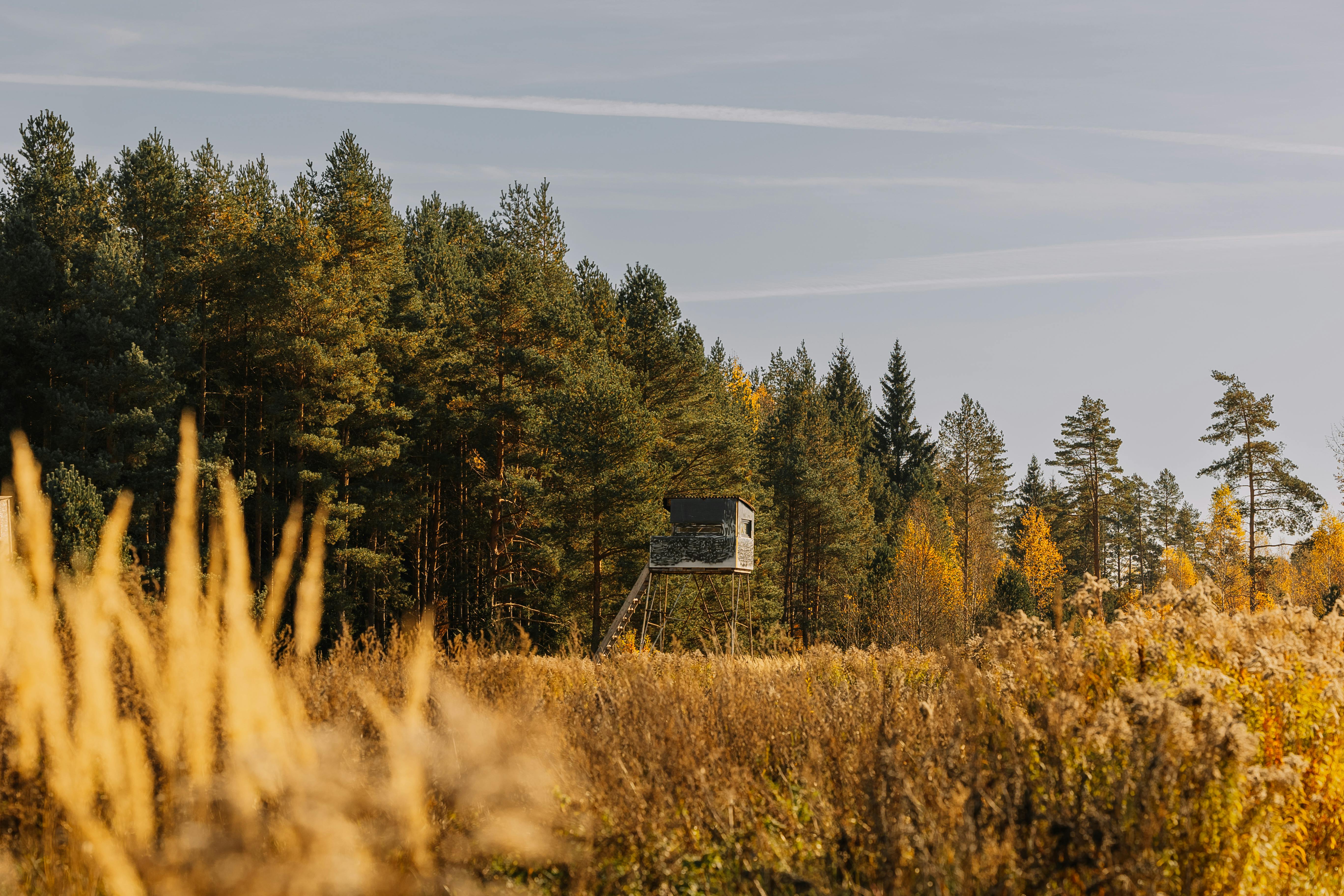 Hunting &amp; Outdoor Adventure Show at QCCA Expo Center, Rock Island, Feb. 12-15 — Photo by Elina Volkova on Pexels