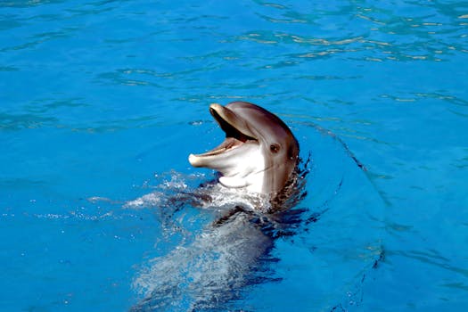 Saint-Père-sur-Loire