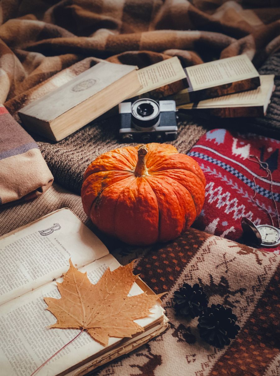 Cozy autumn reading setting with books pumpkin and blankets