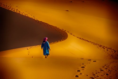 Free Bedevi Stock Photo