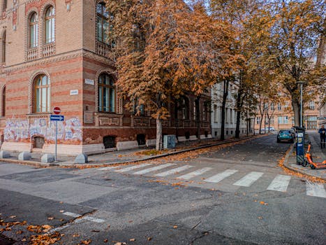 Charming autumnal view of a street in Bratislava with fallen leaves and historic architecture.