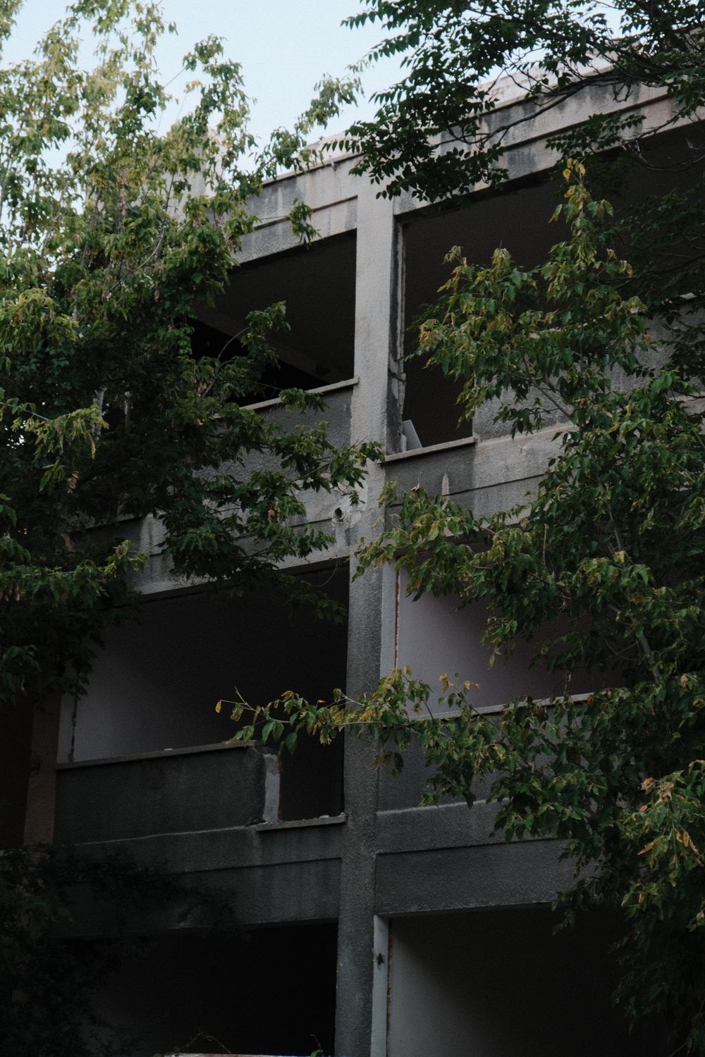 Overgrown Building Tree Abandoned Building Hidden by Overgrown Trees · Free Stock Photo