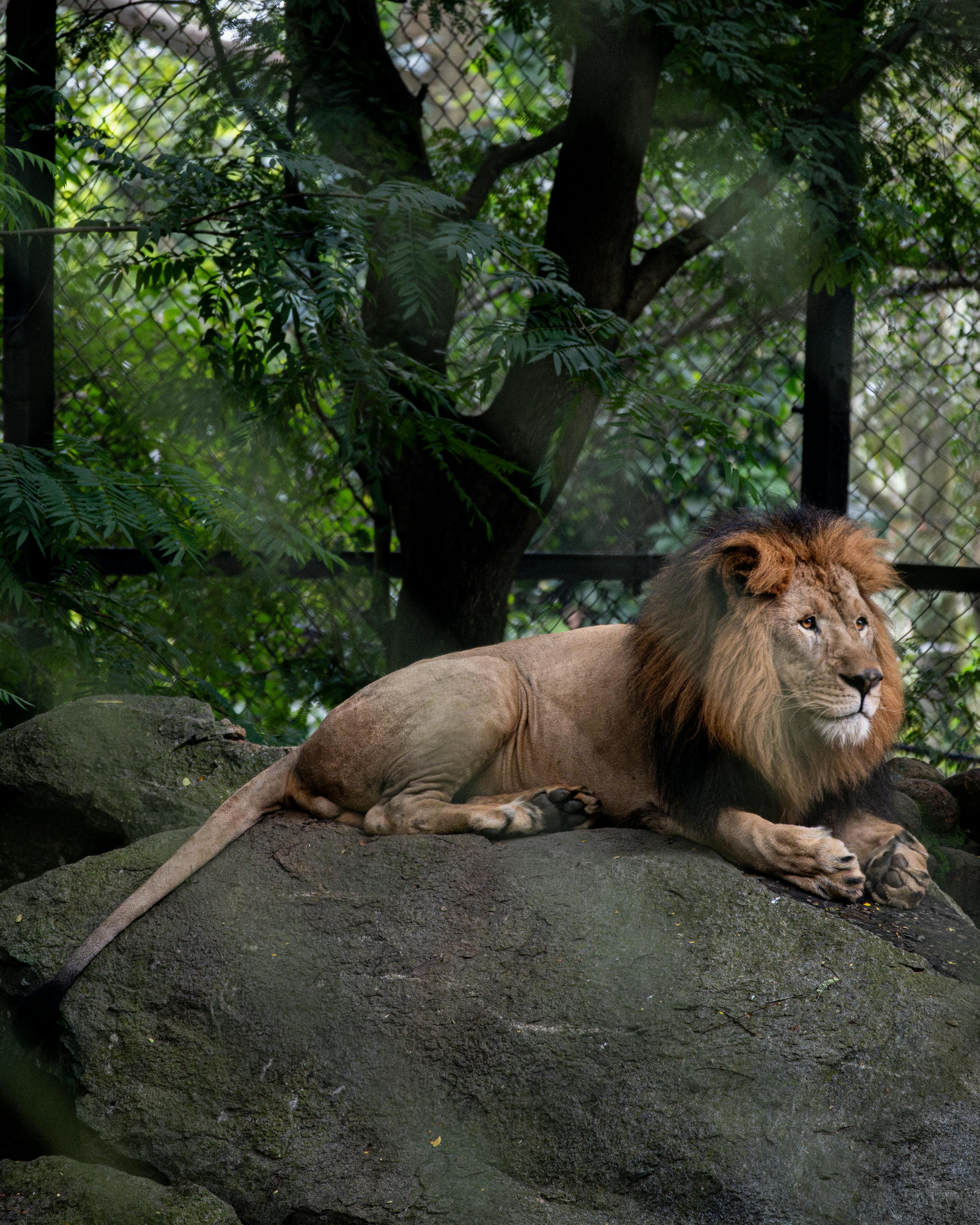 pexels-photo-29198899.jpeg?cs=srgb\u0026dl=pexels-saigoutham-29198899.jpg\u0026fm=jpg