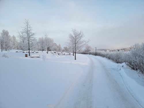 Free Peaceful snow-covered landscape in Akershus, Norway, showcasing a quiet winter scene. Stock Photo