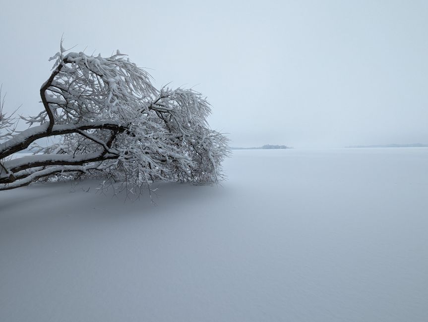 What are the best things to do in Ottawa in winter?