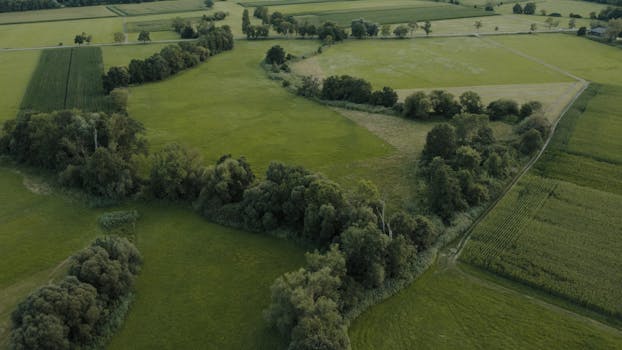 A serene aerial view of the green fields and forests in Muttersholtz, Grand Est, France.