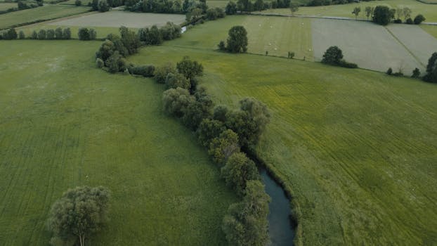 Serene aerial shot of lush fields and forests in Muttersholtz, France.