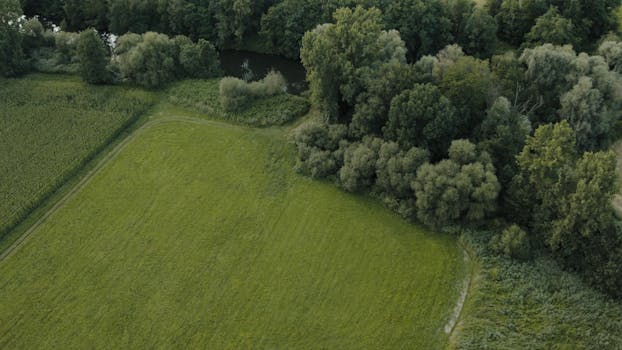 Drone view of lush green fields and forest in Muttersholtz, Grand Est, France.