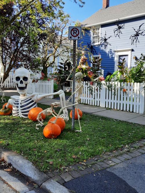 Free Halloween Stock Photo