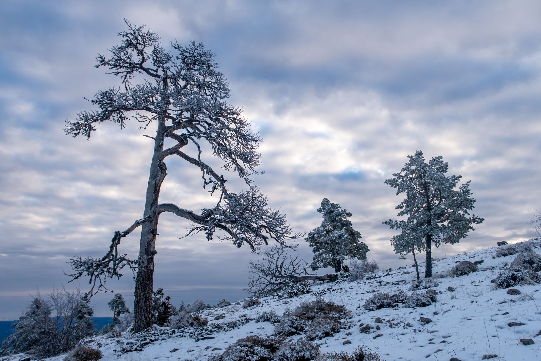 Sobrevivir tu Primer Invierno en España