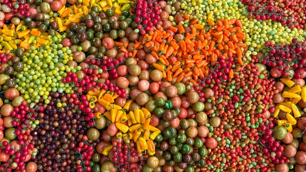 An overhead view of assorted fresh vegetables including tomatoes and peppers, vibrant and colorful.