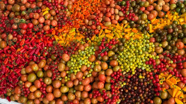 Bright mix of ripe tomatoes and peppers in an arranged display showing variety and freshness.