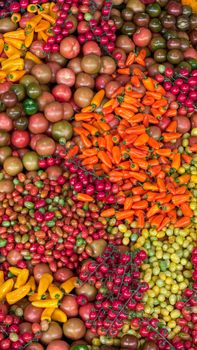 An array of colorful peppers and tomatoes captured from above, showcasing fresh produce.