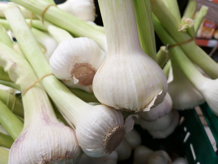 Photo Of White Garlic Bulbs