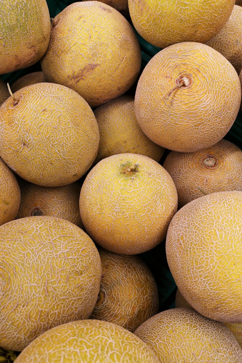 Close-up Photo of Honey Dew Melons