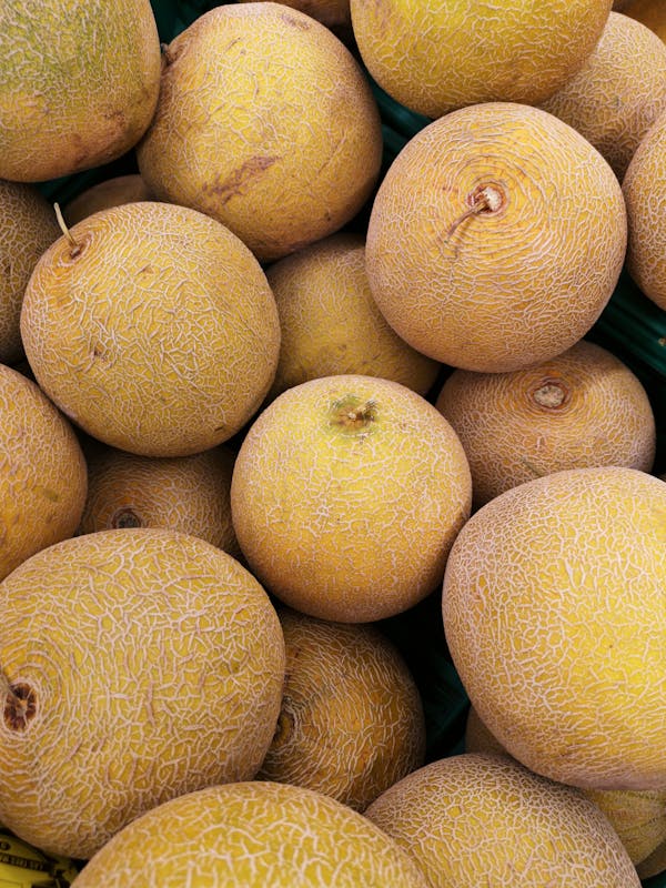 Close-up Photo of Honey Dew Melons