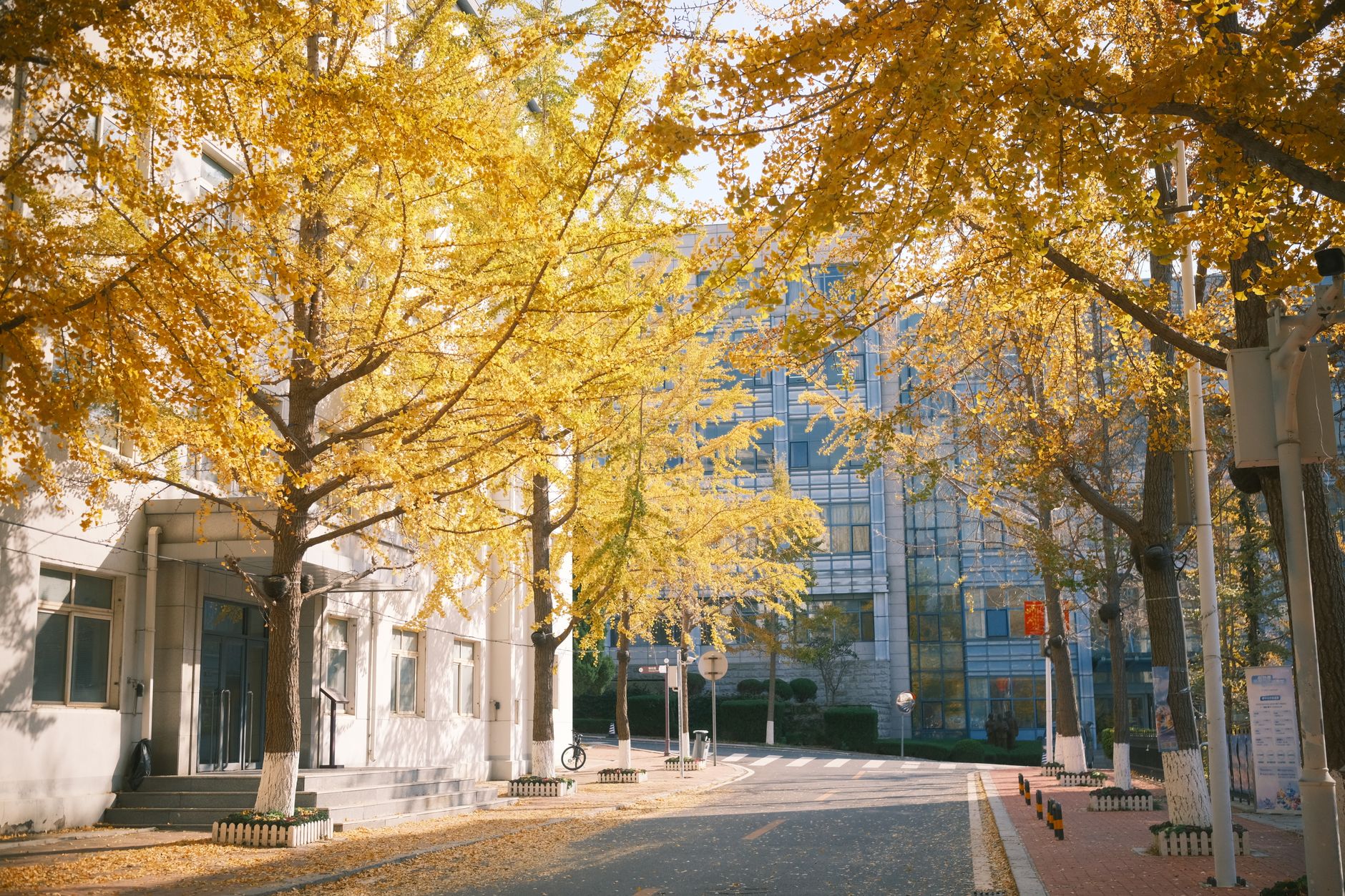 CHINA UNIVERSITY OF PETROLEUM (EAST CHINA)