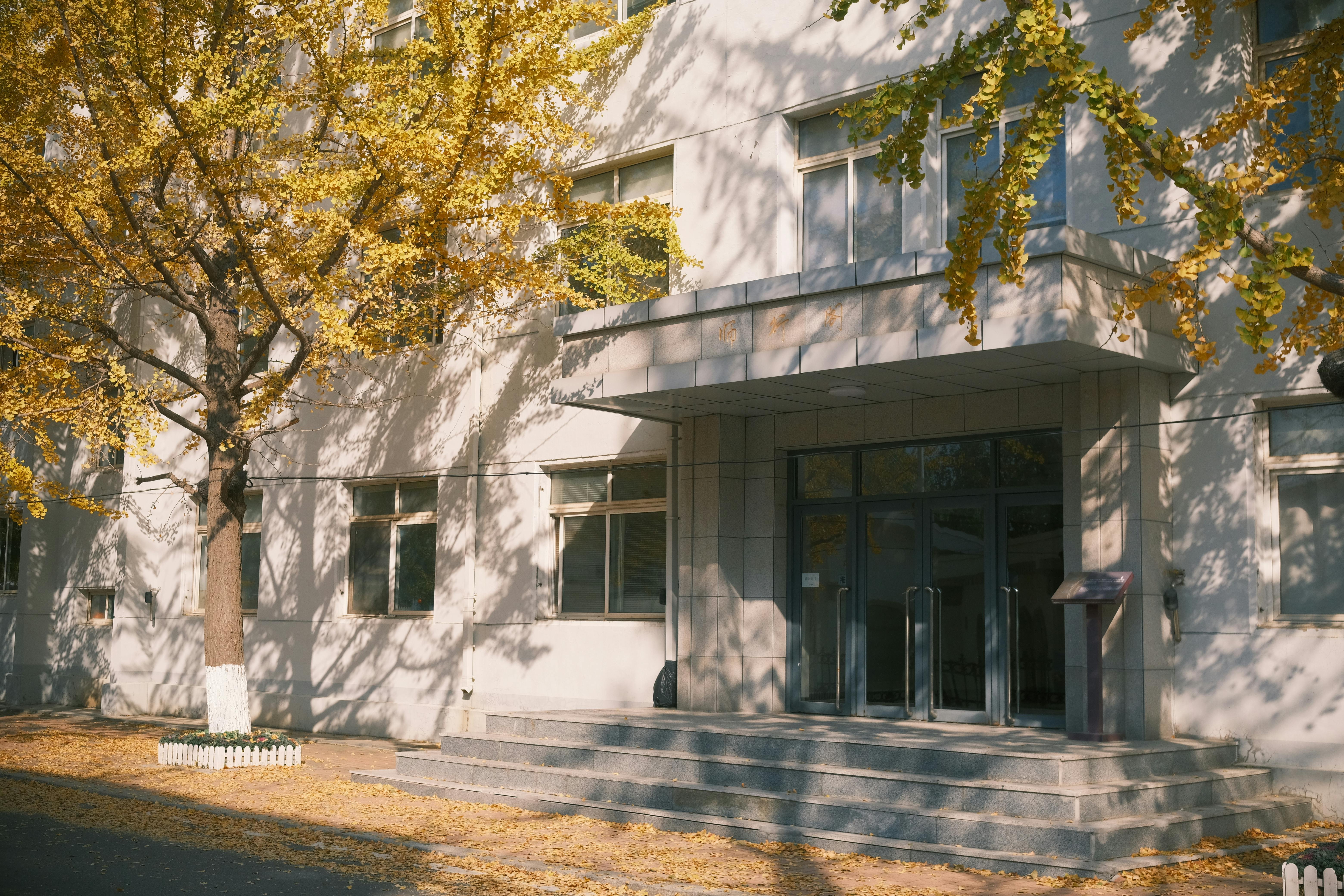 Gratis Una fachada de edificio moderno con hojas doradas de otoño que proyectan sombras en un día soleado. Foto de stock