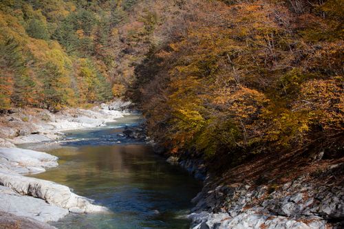 Free Tranquil river winding through vibrant autumn foliage, showcasing nature's beauty. Stock Photo
