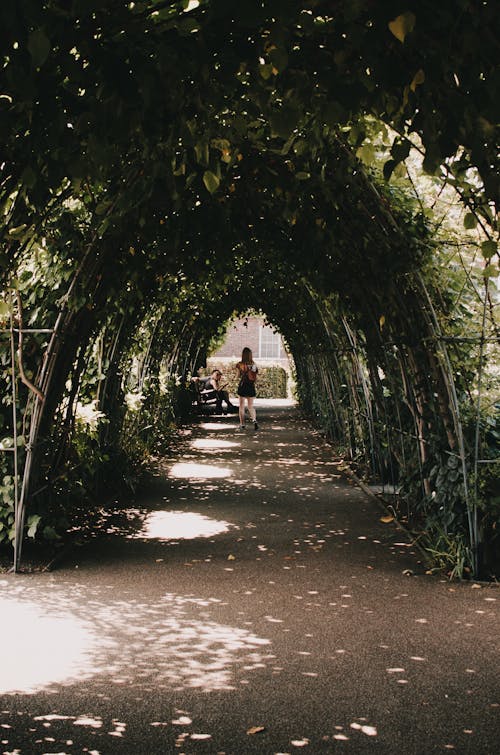 Person Under Green Plant Arch