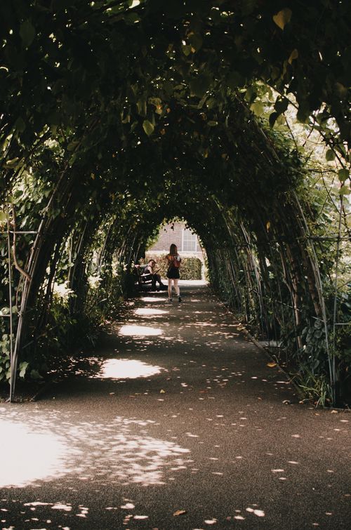 Free A peaceful garden pathway under a lush green arch with a woman walking, captured in daylight. Stock Photo
