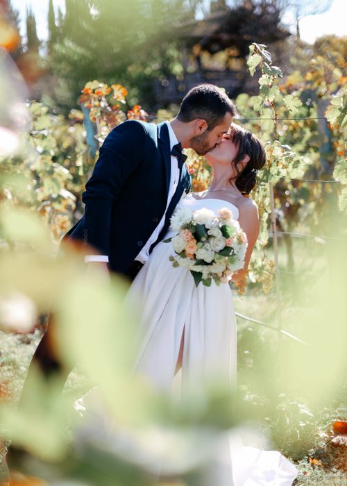 Free A couple shares a romantic kiss in a sunny vineyard, surrounded by lush greenery. Stock Photo