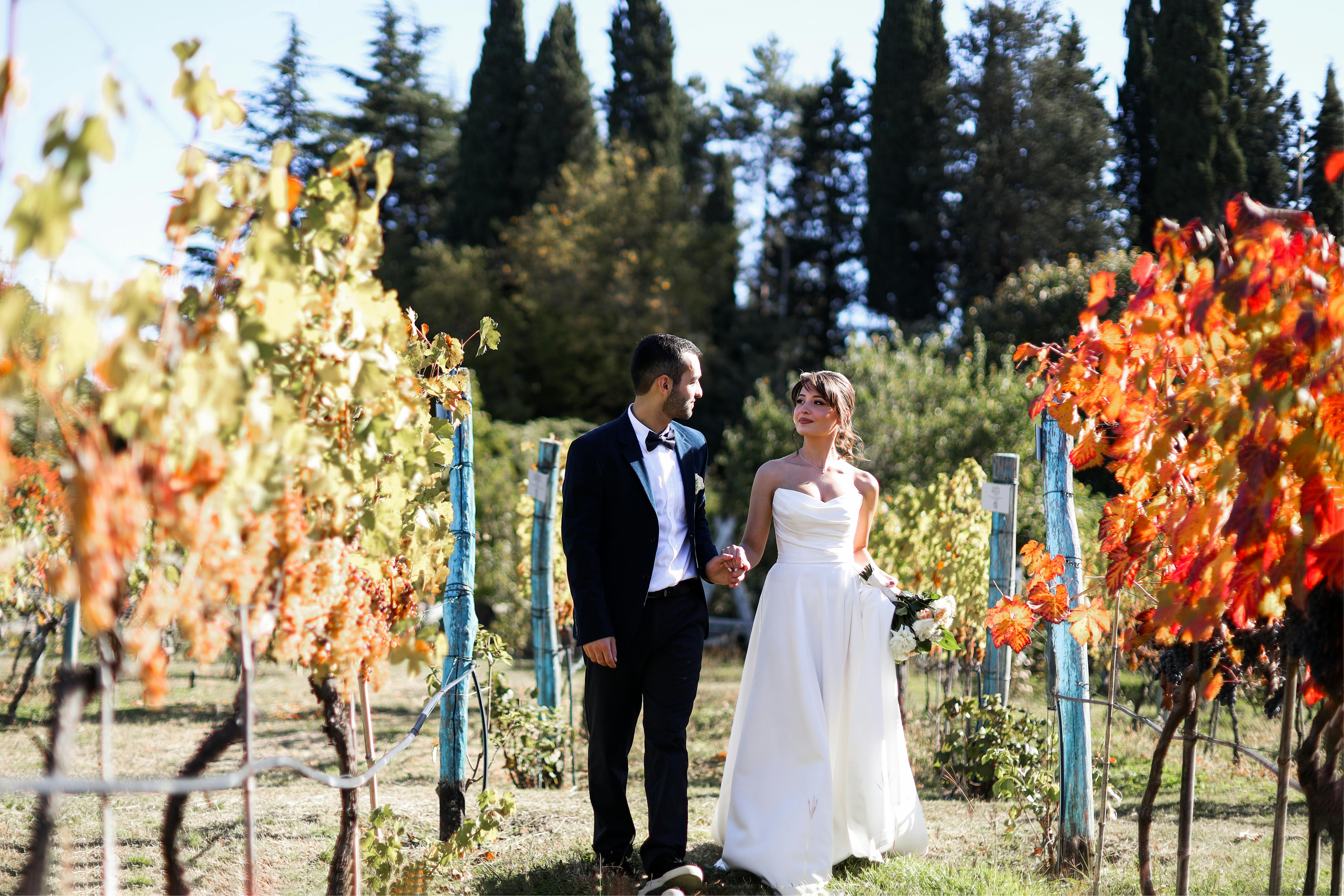 Image of a couple walking through a vineyard with golden fall foliage - anniversary trip ideas in november