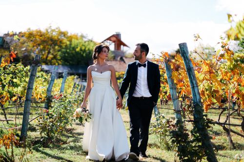 Free Bride and groom walking hand in hand through a vineyard during a sunny fall day. Stock Photo
