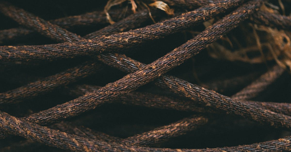 Close-up of Twisted Brown Rope Texture · Free Stock Photo