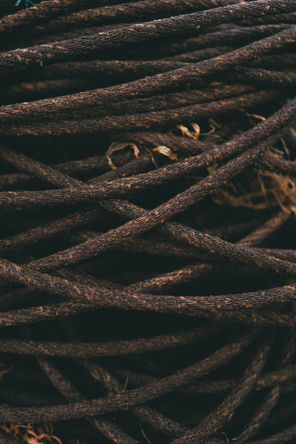 Close-up of intertwined bronze ropes — photo by Quentin Guiot on Pexels