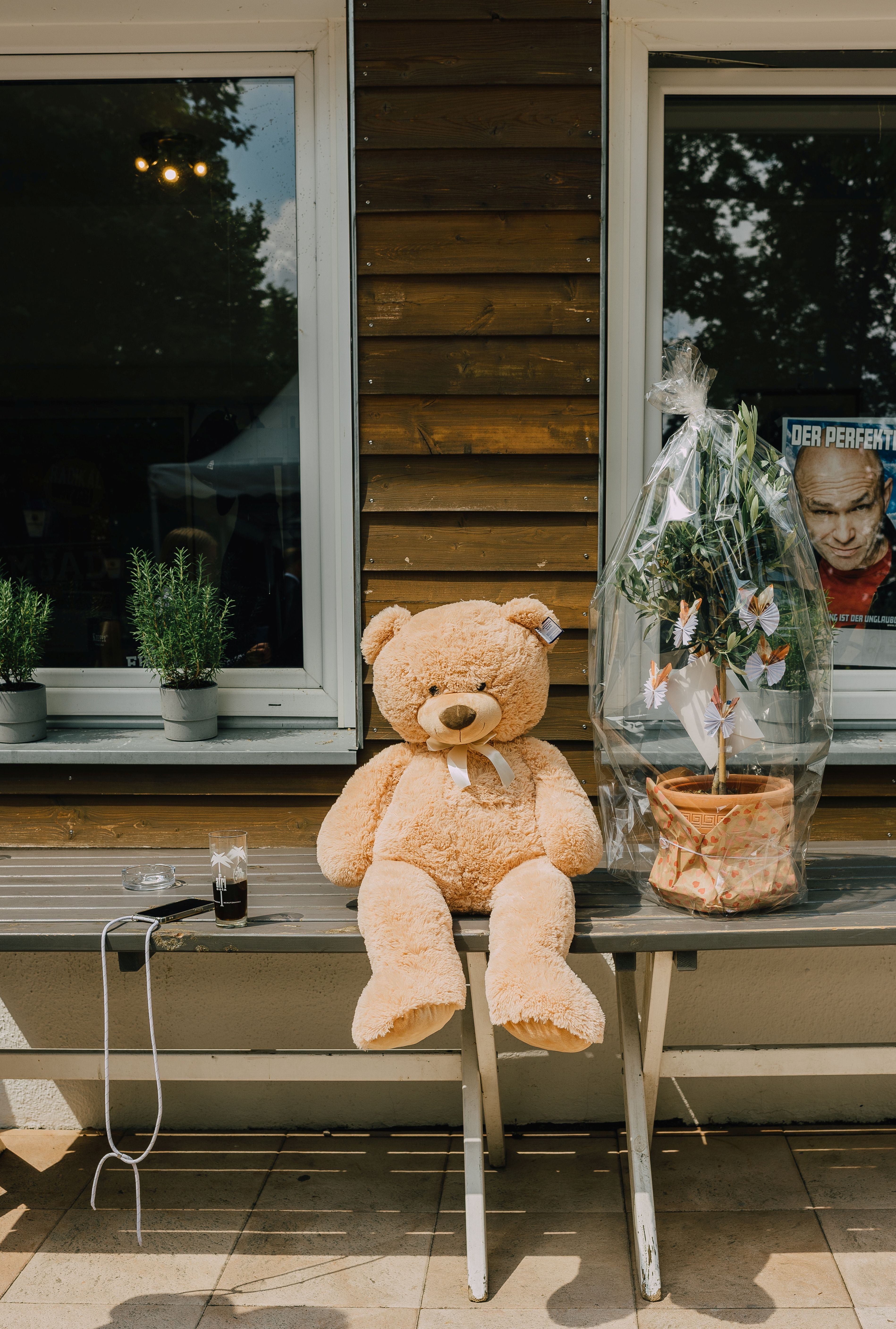 Teddy Bear Sitting on Outdoor Wooden Bench · Free Stock Photo