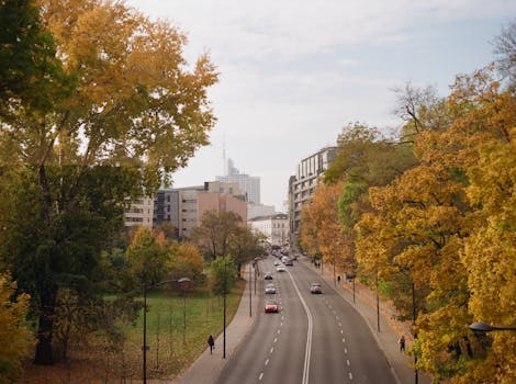 A scenic autumn view of a road lined with colorful trees in Warsaw, Poland.