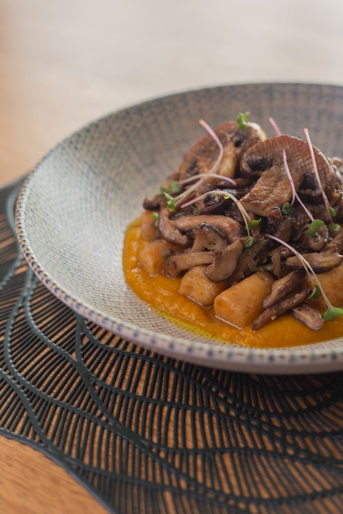 Free Delicious gourmet dish featuring mushrooms and pumpkin gnocchi elegantly plated. Stock Photo