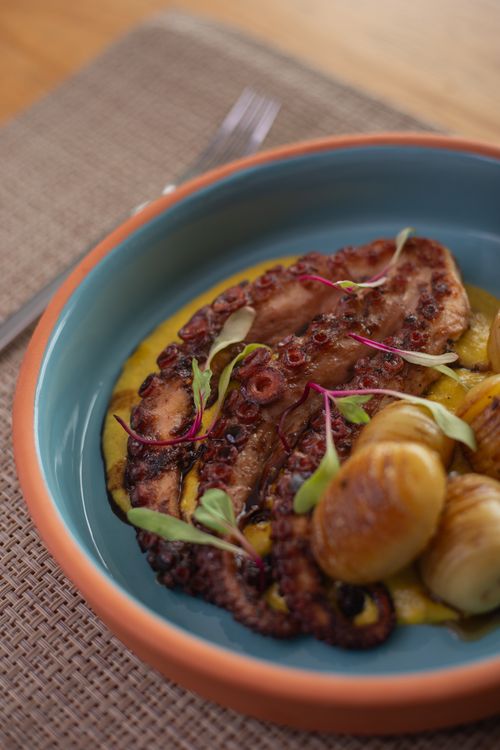 Free Grilled octopus served with potatoes and microgreens in a stylish blue bowl. Stock Photo
