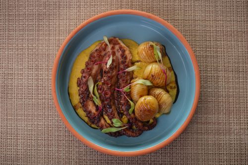Free A beautifully plated octopus dish with grilled potatoes served in a colorful bowl on woven placemat. Stock Photo