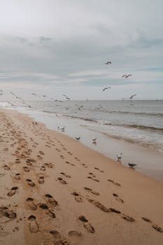 Peaceful beach with seagulls, footprints, and calming sea under an expansive sky.