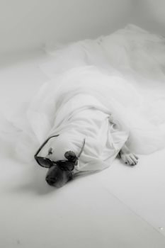 A cute dog wrapped in a white blanket wearing sunglasses, creating a humorous scene.