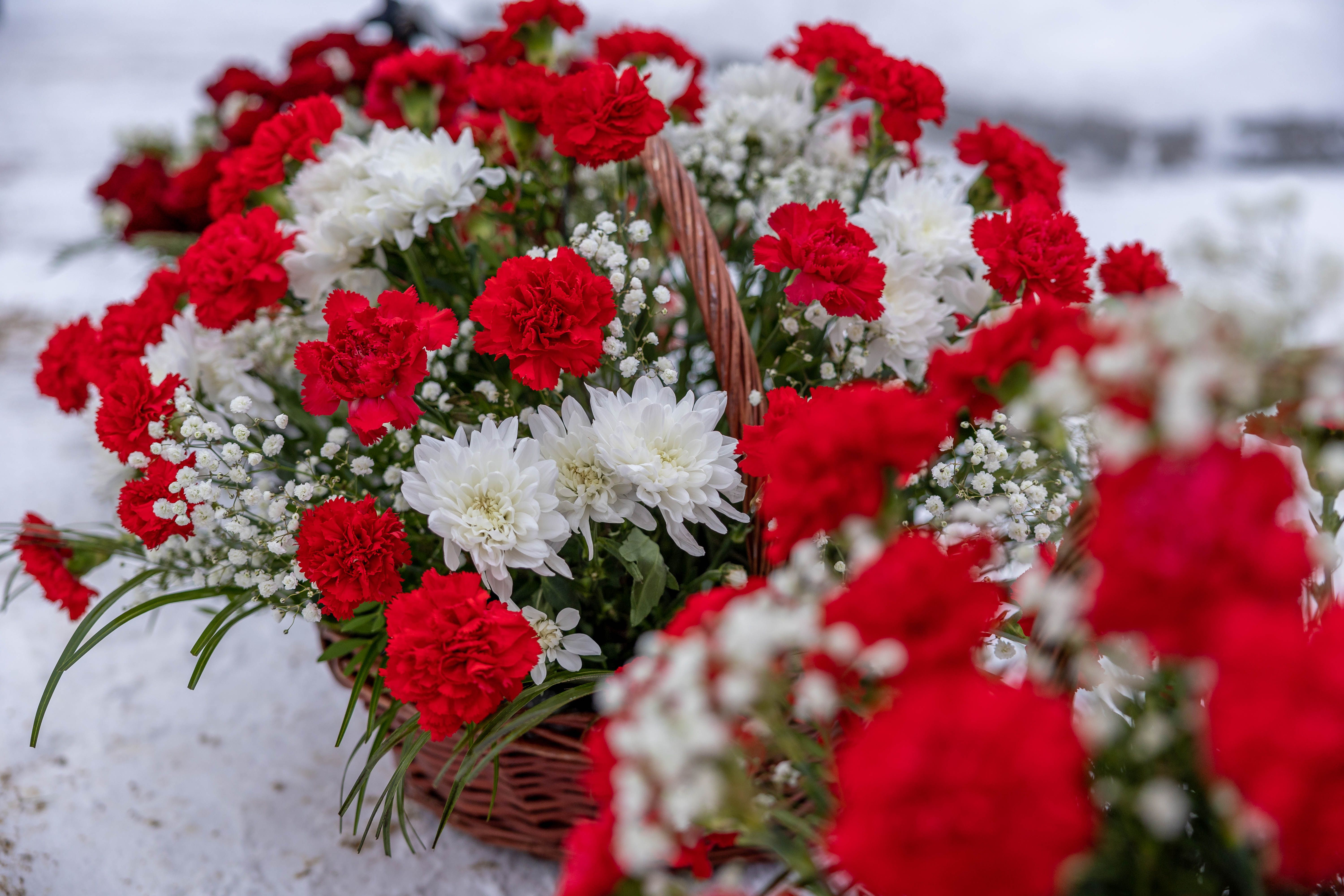 575.211+ Fotos y Imágenes de Flores rojas Gratis · Banco de Fotos Gratis