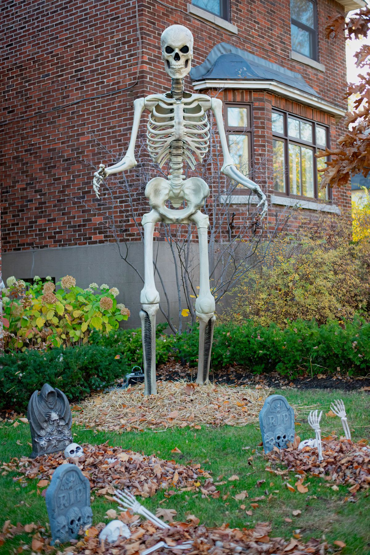 Large skeleton and tombstones creating an unforgettable Halloween display outside a house