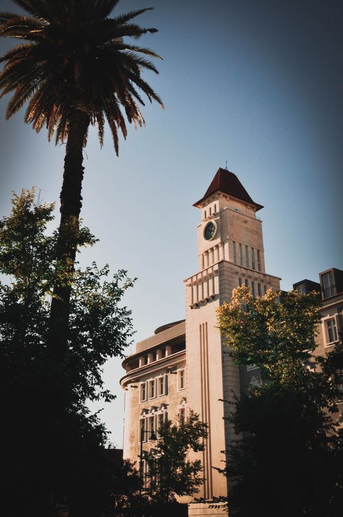 Free Majestic clock tower with red roof surrounded by tall palm and lush trees, captured in daylight. Stock Photo