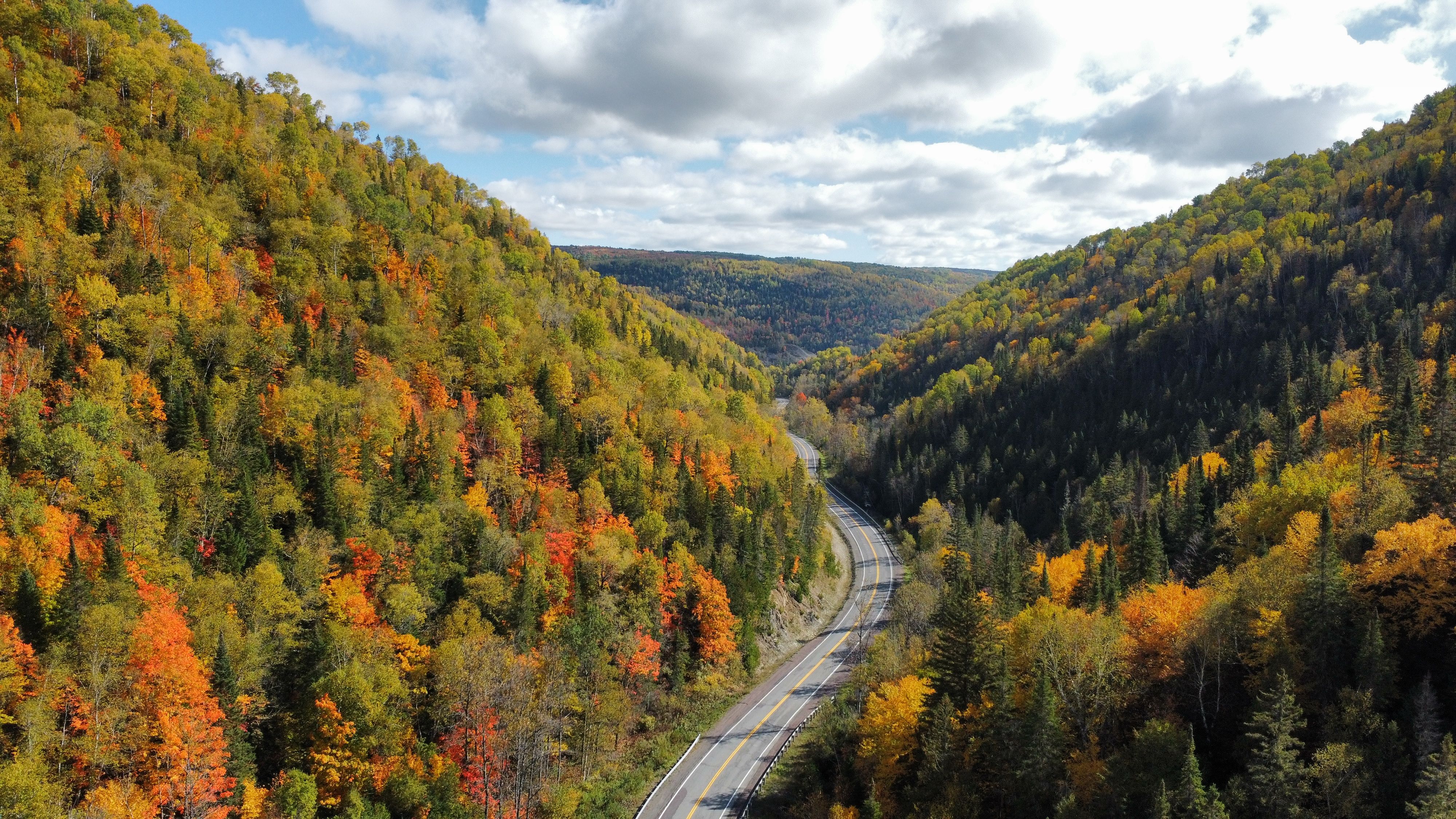 Interactive fall foliage map guides day trips from NYC and L