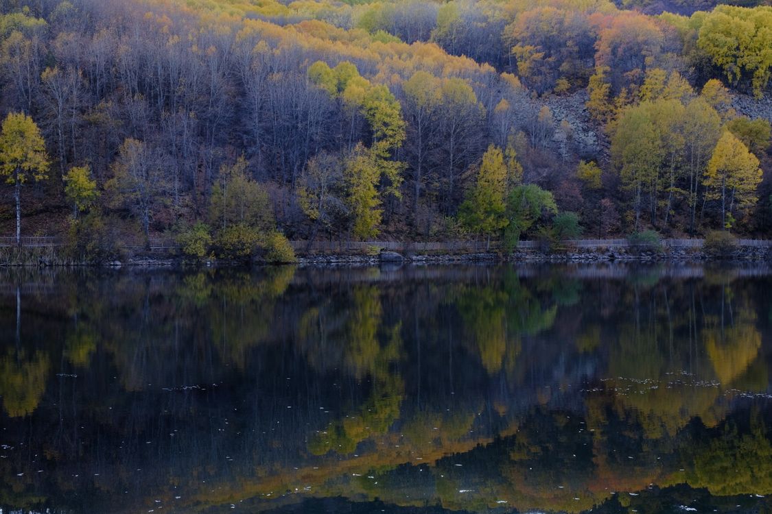 Fall Forest Reflection Serene Autumn Forest Reflection in Calm Lake · Free Stock Photo