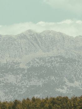 Stunning mountain range backdrop with forest foreground under clear sky.