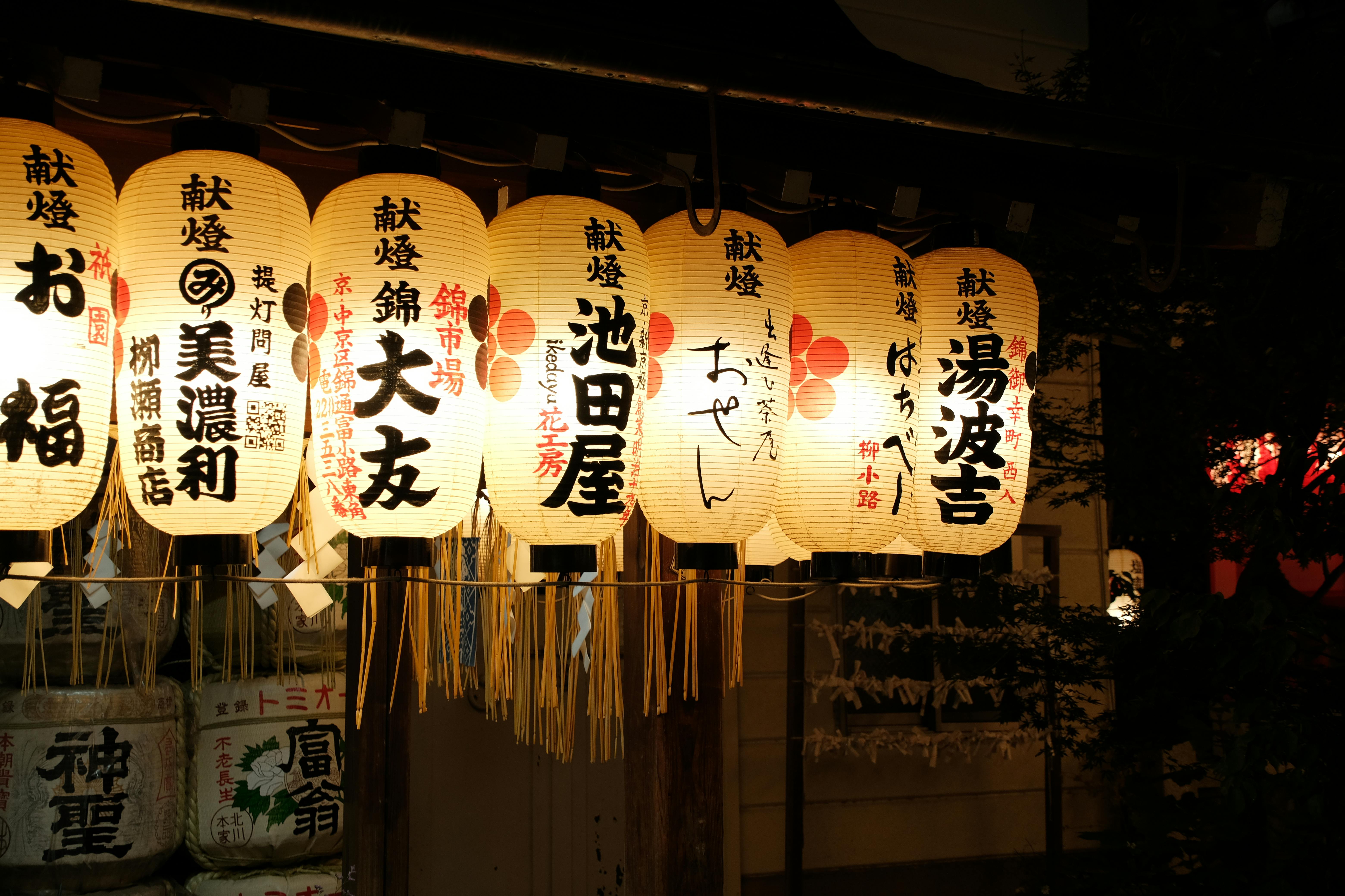 Becoming an “Otaku”: How I Learned Japanese from Anime, Manga, and Music — Photo by Liuuu _61 on Pexels